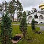 20190901-Посадка деревьев возле храма
